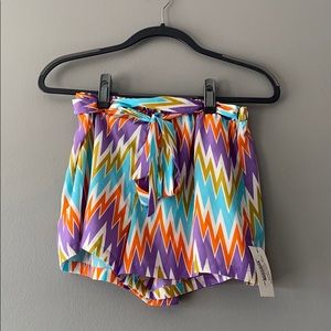 The Red Dress Boutique Summertime Chevron Shorts
